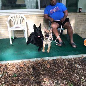 Meet your Posher, Marlon